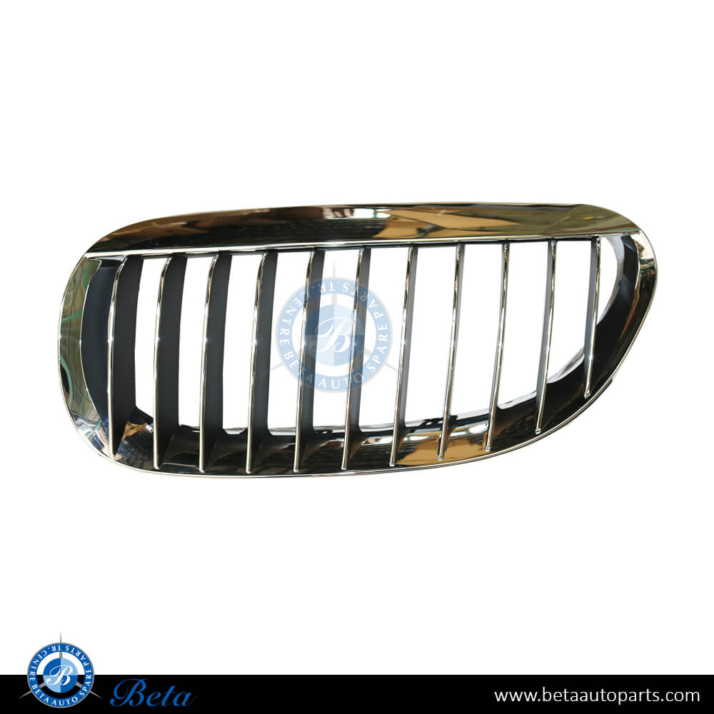 Left Side Radiator Grille - Black and Chrome for BMW 6 Series E63 2004-2007 models, Part Number 51137077931 Left Side Radiator Grille - Black and Chrome for BMW 6 Series E63 2004-2007 models, Part Number 51137077931